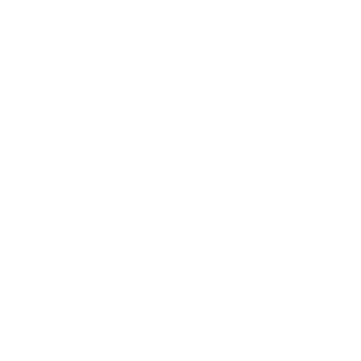 Scope and Strategy